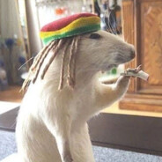 ауе растоман