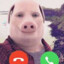 John Pork