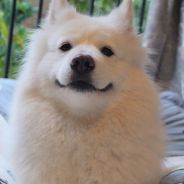 再见鱼塘，再也不见