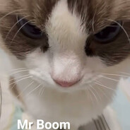 Mr Boom