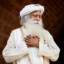 An Extended Limbs of Sadhguru