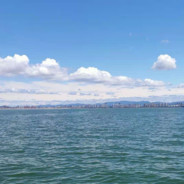 她与疾风皆是过客