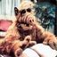 Alf