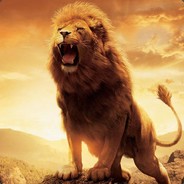 TigeR II