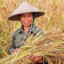 RICE PICKER2.O+_+