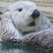 [YZJ]我是马卡龙