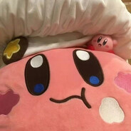 马达加斯加河马