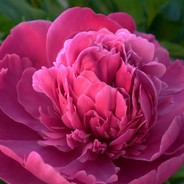 所以说永远多长