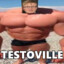 TESTOVILLE