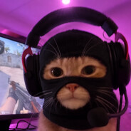 meow. Steam avatar
