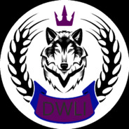 Team DWLI