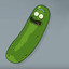 PickleMyRick