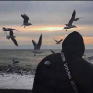 翻斗花园牛爷爷