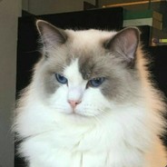 江浙沪第一渣男