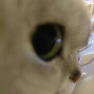 揭的开面纱却揭不开你