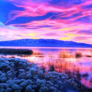 随便要的名字（是个人