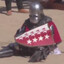 Sir Cumcise