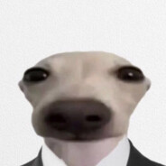 Ceruttera avatar