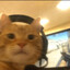 JoshinAround