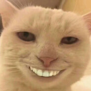 我要开始发力了