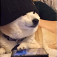 Noob d o double g avatar