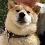 illenium的小歌迷