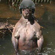 Kapitän Beuteltier [SK8GRD]