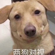 别狙我了行吗