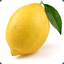 BOT Citron