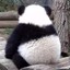Hova丶