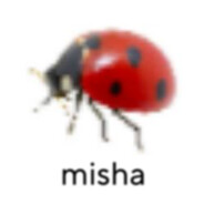 миша avatar