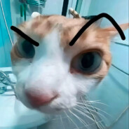 下面着火男娘加我