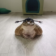 ПЕРЕЙРА - steam id 76561199116763613