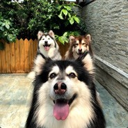 卡死一个是一个，剩下我就天胡了。