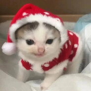 心狠手辣小森森