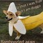 banana doggo