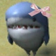 sharkstunes