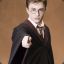 Harald ϟ Potter