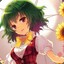 Kazami Yuuka