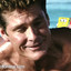 The Hoff