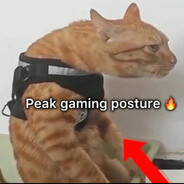 -1 - steam id 76561198128457377