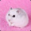 Hellfire_Hamster