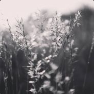 Woke - steam id 76561197960273430
