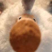 小小高达佐迪亚克