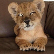 fr1zk - steam id 76561199820041683