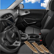 17 Mice driving a KIA Soul