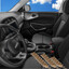 17 Mice driving a KIA Soul
