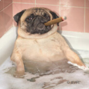 b0b - steam id 76561198000454440