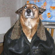 Мухтар
