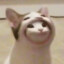 HAEM
